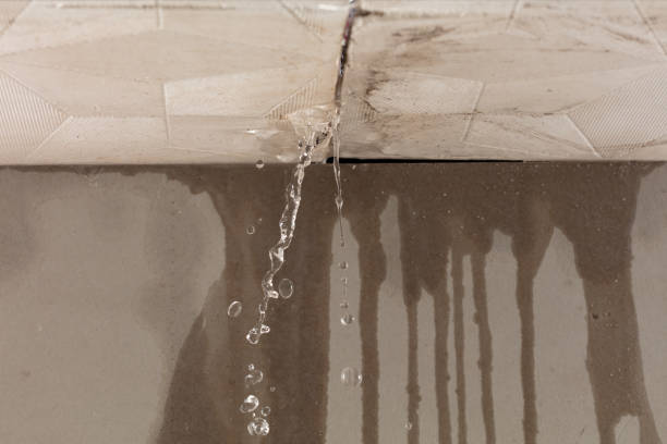 Professional Water Damage Inspection technician working in Pomerene, AZ